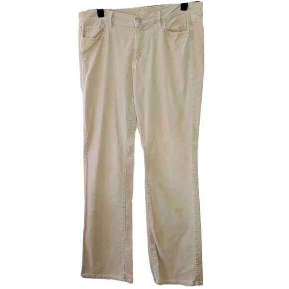 ANN TAYLOR LOFT MODERN SEXY BOOT PANTS - Picture 6 of 6